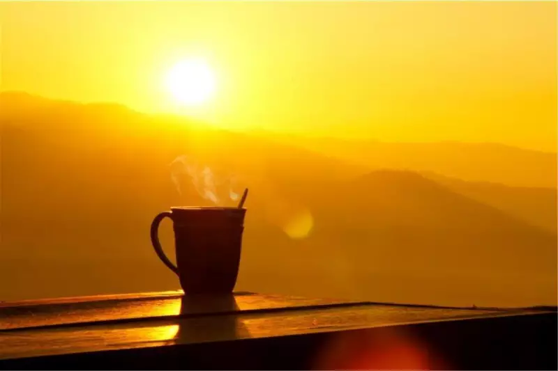 Sol, neblina e geada: confira a previsão do tempo para SC nos próximos dias