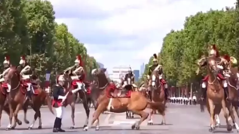Soldado sangrando e cavalo em fuga: Desfile da Bastilha vira palco de cenas inesperadas na França