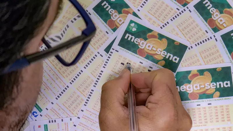 Sorte Grande em SC! 100 apostadores faturam prêmios milionários na Mega-Sena