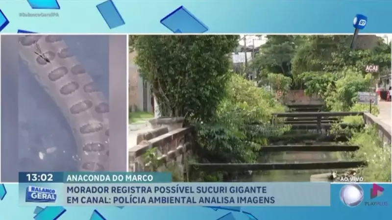 Sucuri gigante assusta moradores em canal de Belém — Veja o vídeo!