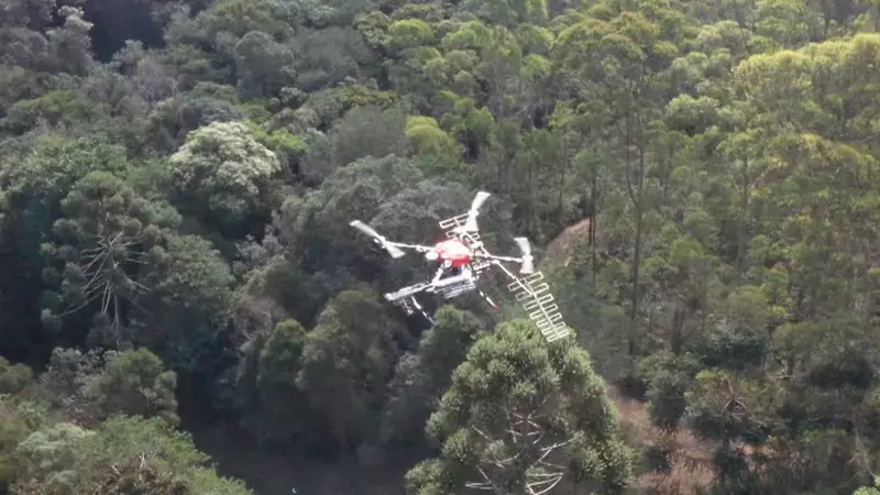 Sumiço de Marco Aurélio: Drones com IA revolucionam buscas após 40 anos no Pico dos Marins