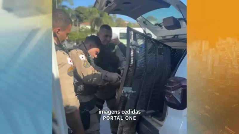 Suspeito de agredir e abusar de menina de 11 anos é preso em UPA de Santa Luzia, MG