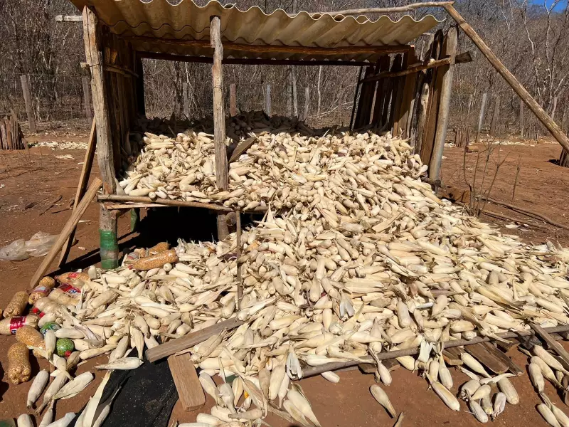 Suspeito de homicídio é achado escondido em paiol de aldeia indígena em MG — veja detalhes