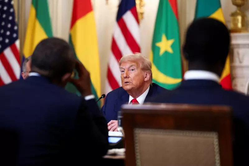 Tarifa de Trump contra o Brasil: especialista alerta para estratégia global da extrema-direita