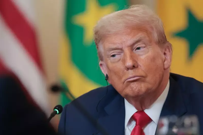 Tarifas de Trump de 50% podem impactar agronegócio brasileiro: carnes, café e produtos florestais na mira