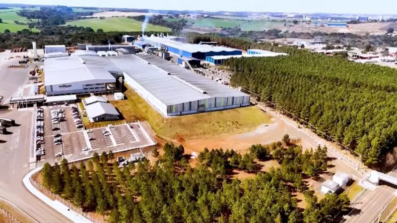 Tarifas dos EUA abalam setor florestal no Paraná: entenda o impacto