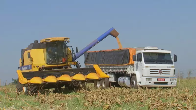Tarifas dos EUA ameaçam lucros do agronegócio paulista após boom nas exportações