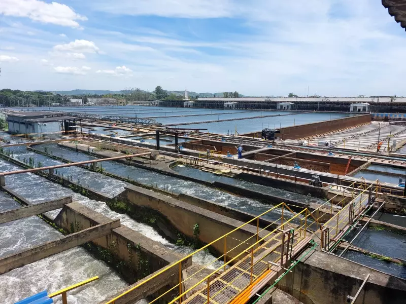 TCE barra licitação bilionária da Cedae no Rio: entenda o que está por trás da suspensão