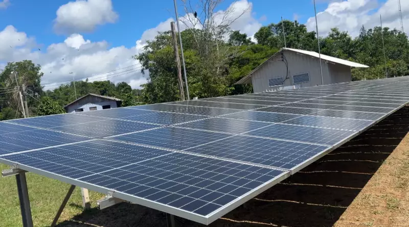 Tecnologia impulsiona negócios comunitários e reduz desmatamento em 28% no Amazonas
