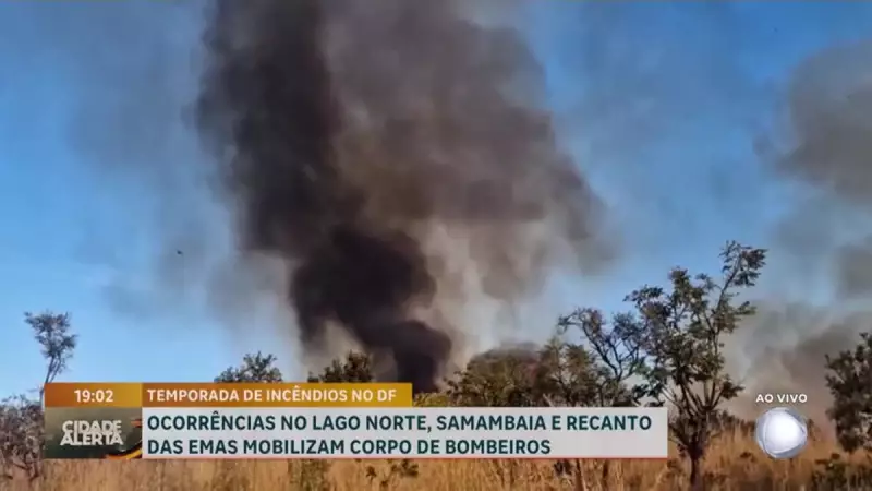Temporada de incêndios no DF mobiliza Corpo de Bombeiros: saiba como se prevenir
