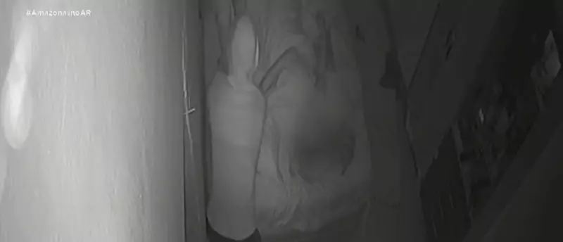 Tentativa de abuso choca Amazonas: grávida é atacada dentro de casa e criminoso foge ao ser descoberto