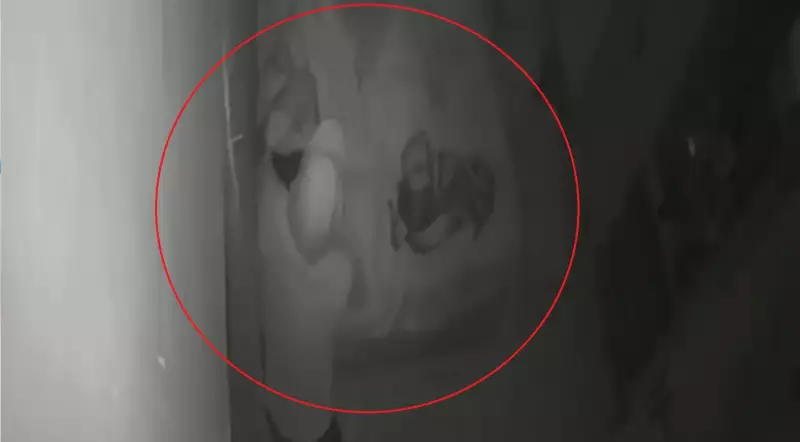 Tentativa de estupro choca Amazonas: grávida é atacada dentro de casa enquanto dormia