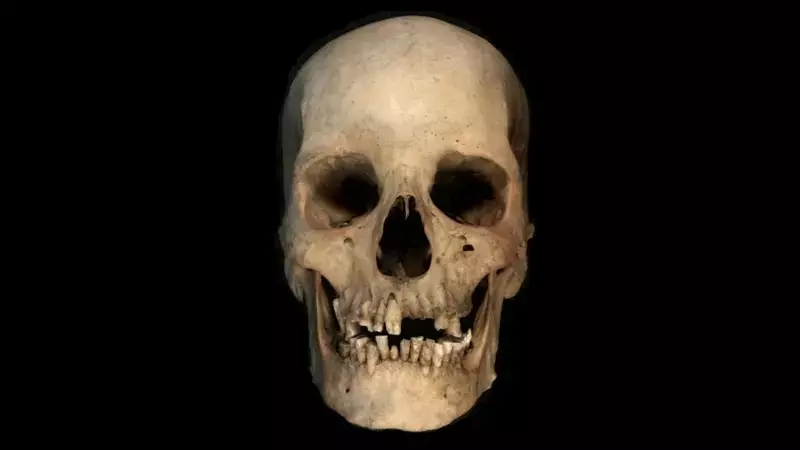 Teste de DNA em osso pode revelar segredos da história do Egito Antigo