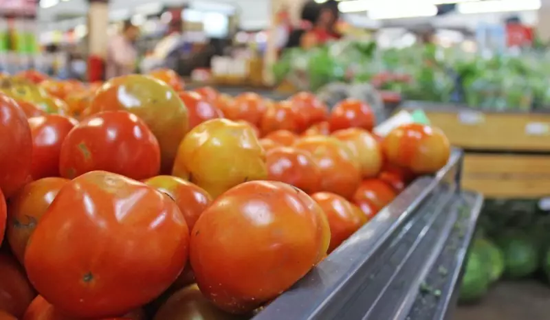 Tomate dispara 34% em Florianópolis: a capital com a inflação mais alta do Brasil