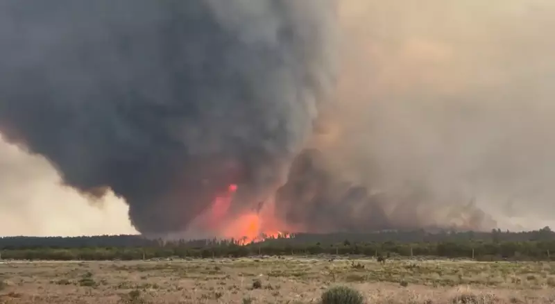 Tornado de fogo assusta EUA: incêndio florestal se transforma em fenômeno raro e devastador