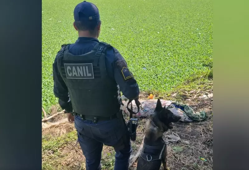 Tragédia choca Hortolândia: Adolescente é encontrado esquartejado em crime brutal