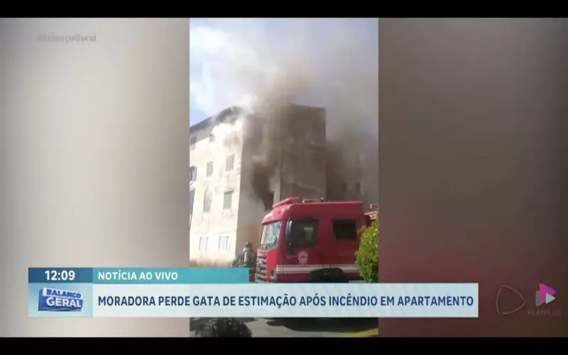 Tragédia em apartamento: Gata de estimação morre em incêndio e deixa dona devastada