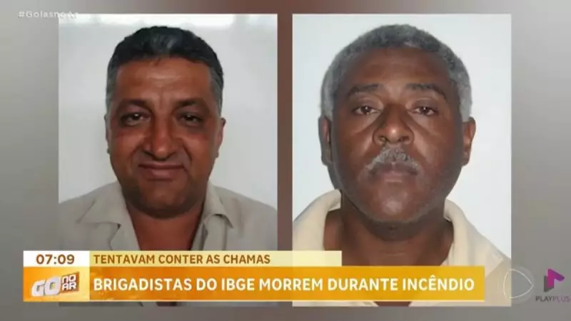 Tragédia em Brasília: Brigadistas do IBGE perdem a vida no combate a incêndio florestal