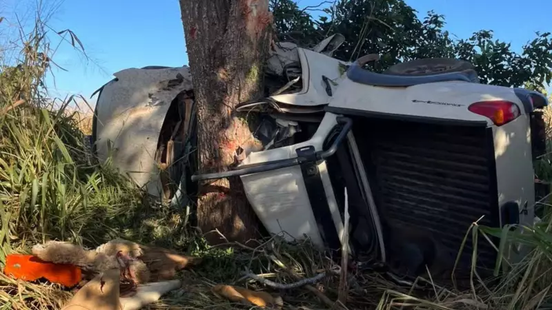 Tragédia em Miranda: Funcionários de fazenda morrem em acidente após festa