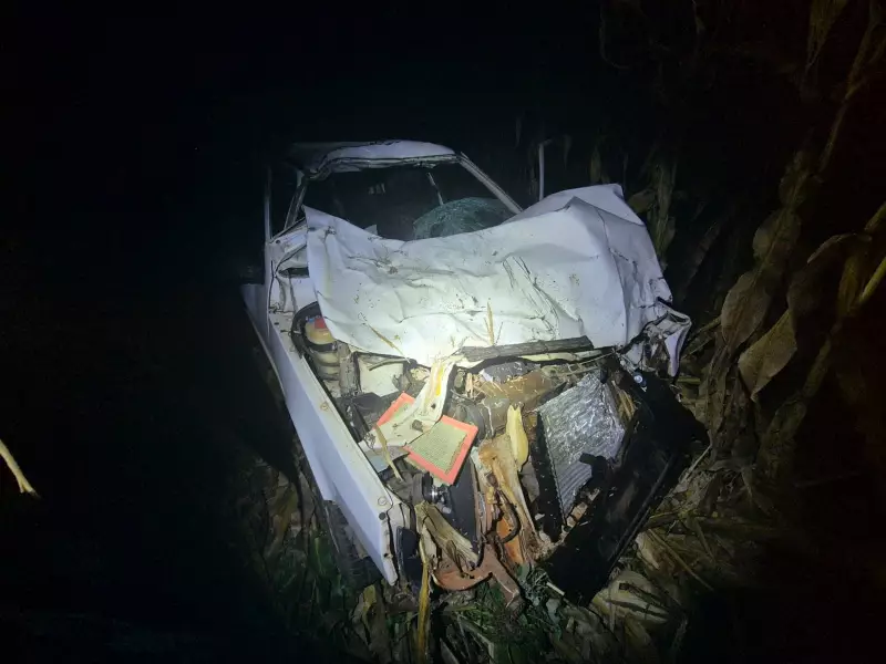 Tragédia em MS: Bebê de 5 meses morre após carro bater em vaca solta na rodovia