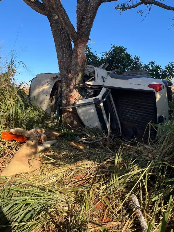 Tragédia em MS: três mortos e um grave após caminhonete colidir com árvore