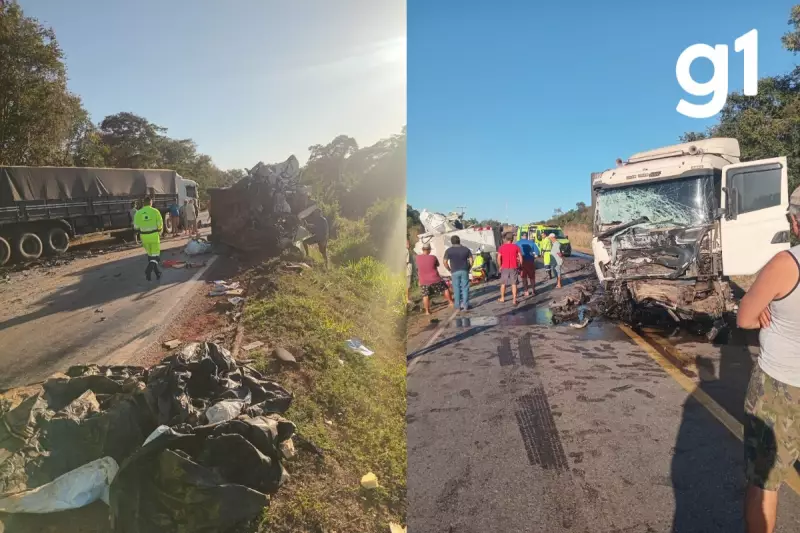 Tragédia na BR: Van colide com carreta e jovem perde a vida em Mato Grosso