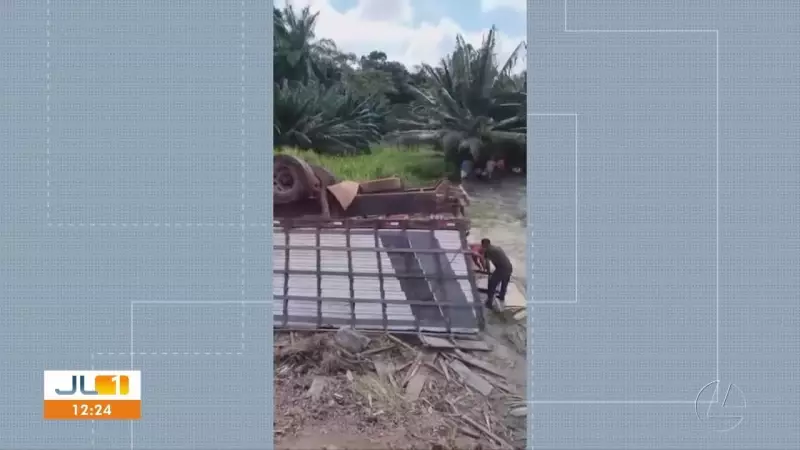 Tragédia na PA-150: Carreta tomba com bois e deixa rastro de destruição em Moju