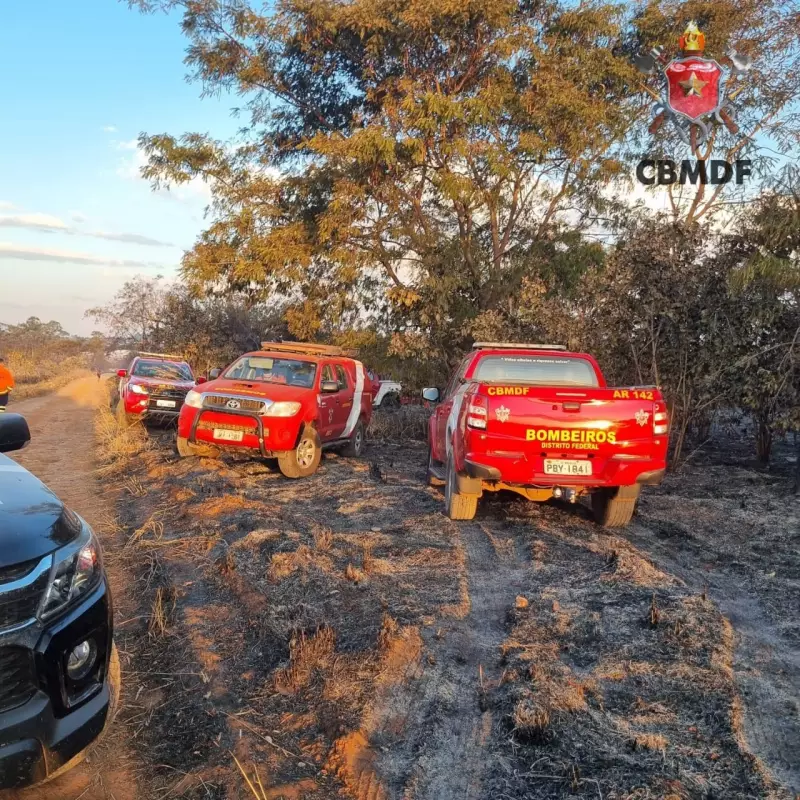 Tragédia no DF: Incêndio florestal deixa duas vítimas fatais entre Santa Maria e São Sebastião
