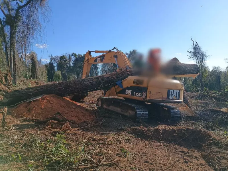 Tragédia no interior de MG: Jequitibá de 20 metros cai sobre trator e mata trabalhador rural