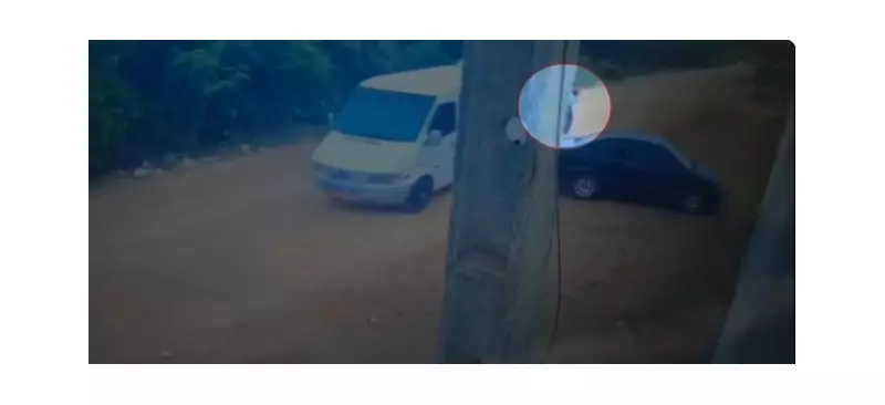 Tragédia no Sudoeste da Bahia: Homem morre atropelado por van em acidente chocante