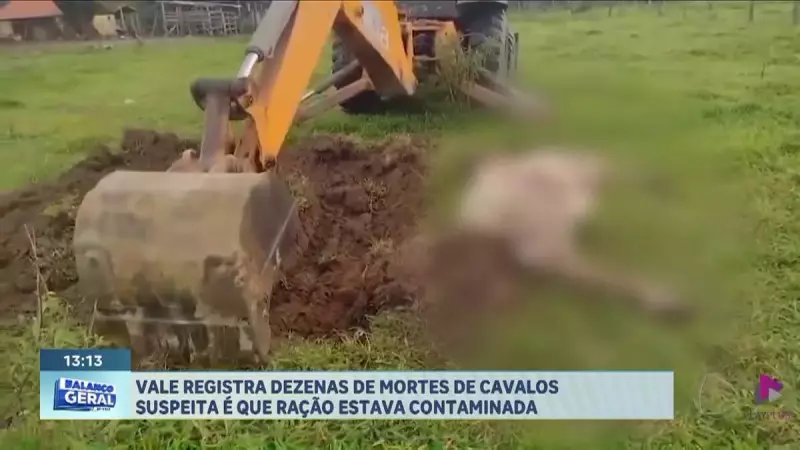 Tragédia no Vale do Ribeira: Sete cavalos morrem em incidente chocante