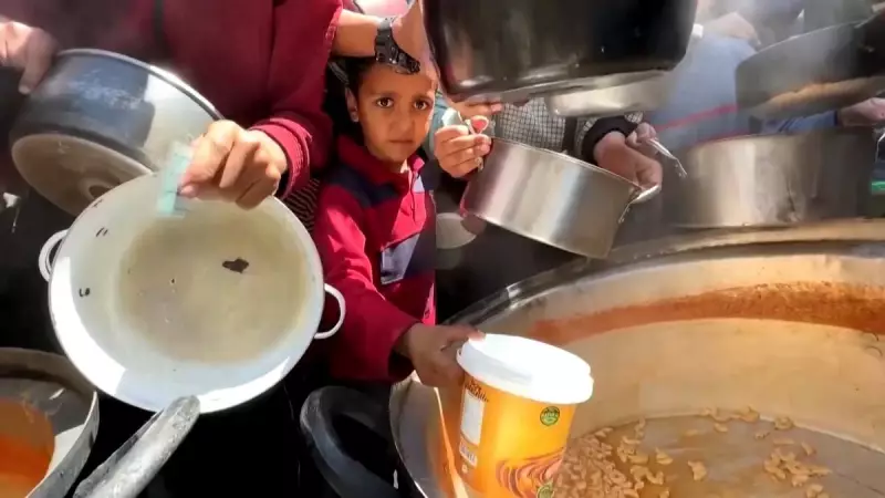 Trump anuncia centros de alimentação em Gaza: especialista analisa impacto humanitário e político