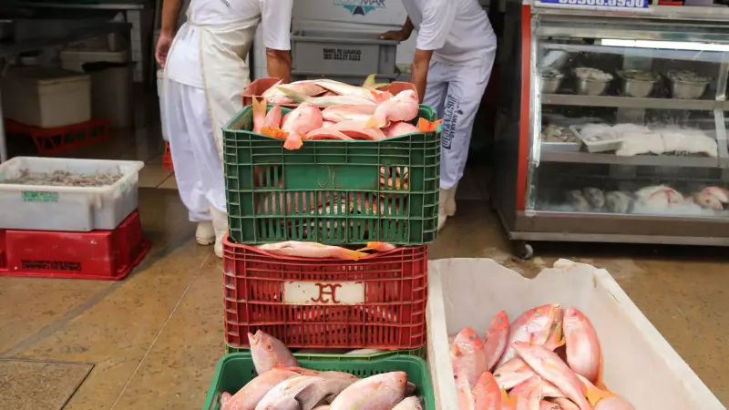 Trump anuncia tarifas sobre pescados do Ceará, mas aço brasileiro escapa — entenda os impactos
