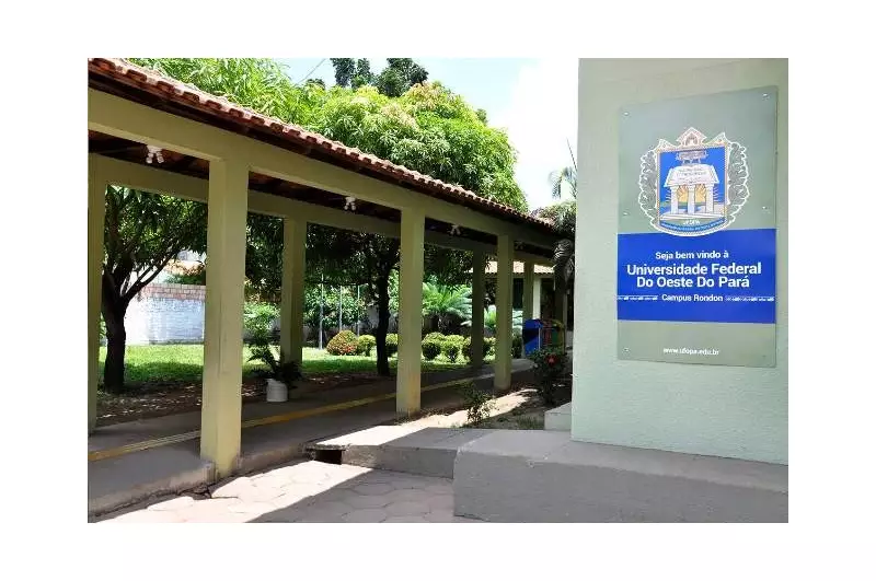 UFOPA em Santarém: Como a universidade está combatendo a discriminação racial na região