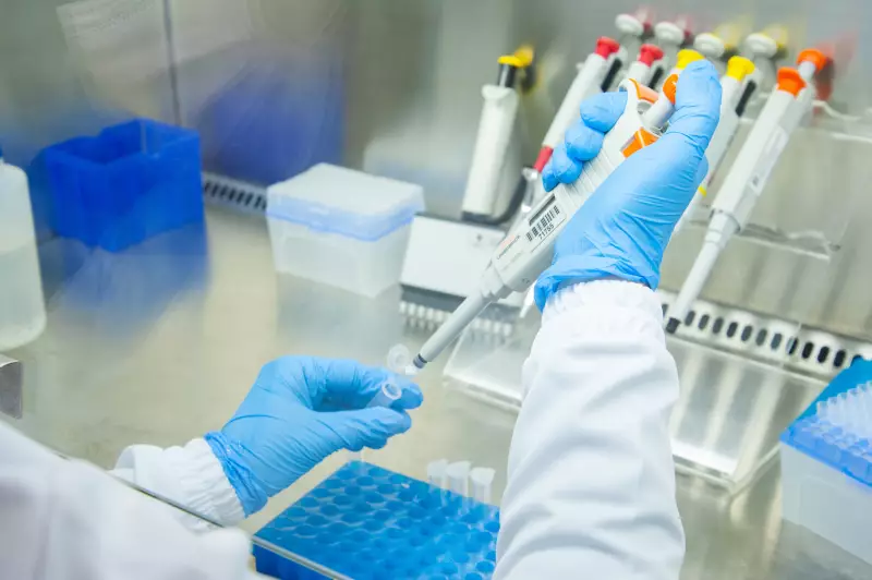 UFSC se destaca: 34 cientistas entre os mais influentes do mundo em 2025