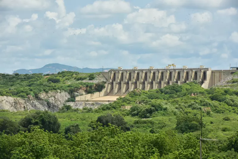 Vale do Jaguaribe: Como a Terra Fértil Transforma Sonhos em Oportunidades de Negócios