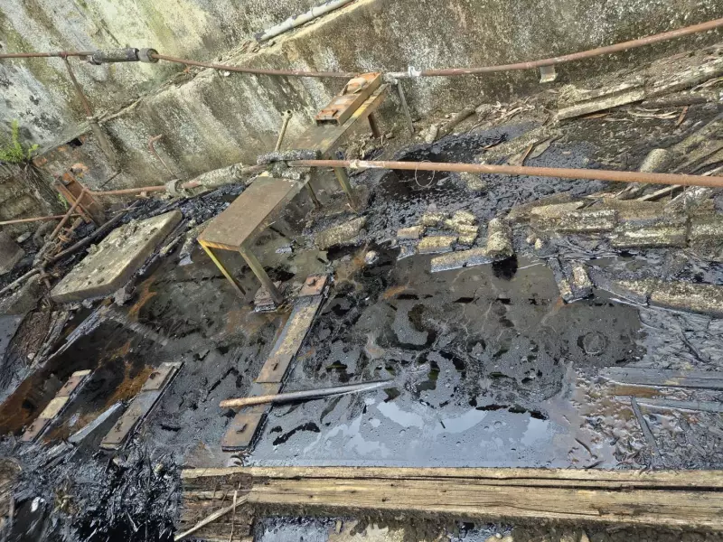 Vazamento de óleo no Rio Ribeira causa grave contaminação ambiental, alerta instituto