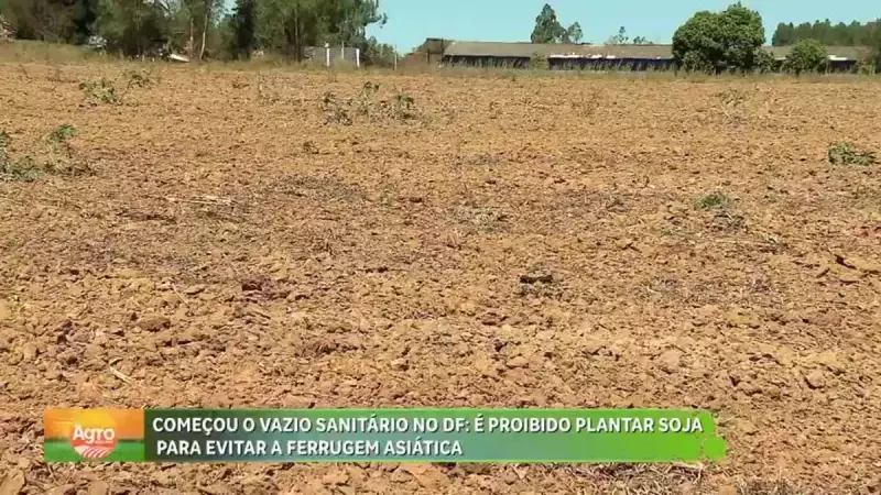 Vazio Sanitário da Soja Começa no DF: Medida Crucial para Combater Ferrugem Asiática