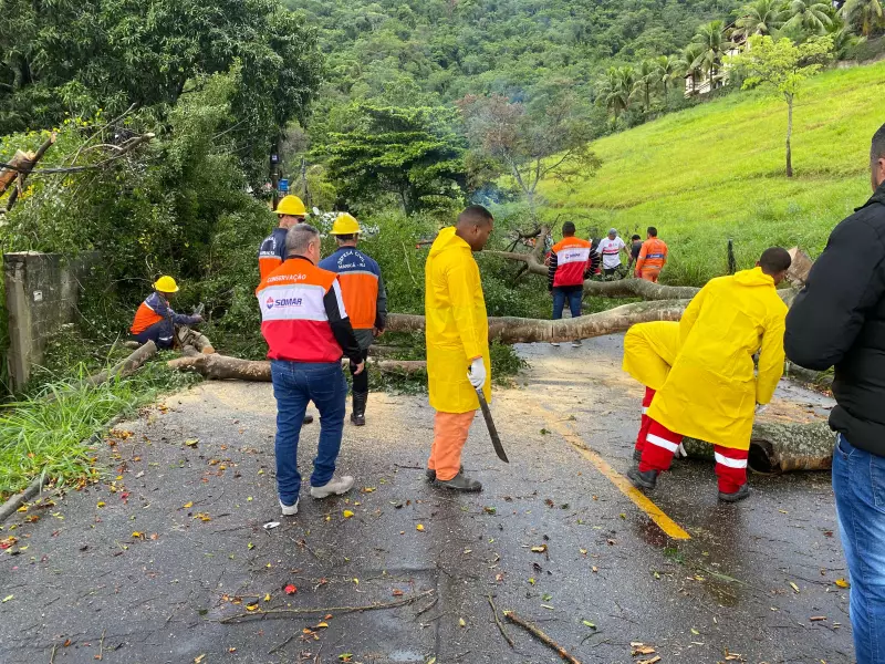 Ventos fortes causam estragos em Maricá: árvores são derrubadas e moradores em alerta