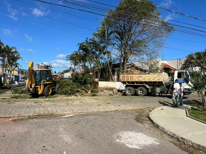 Ventos fortes no Litoral Norte de SP deixam rastro de destruição: famílias desabrigadas e aulas canceladas