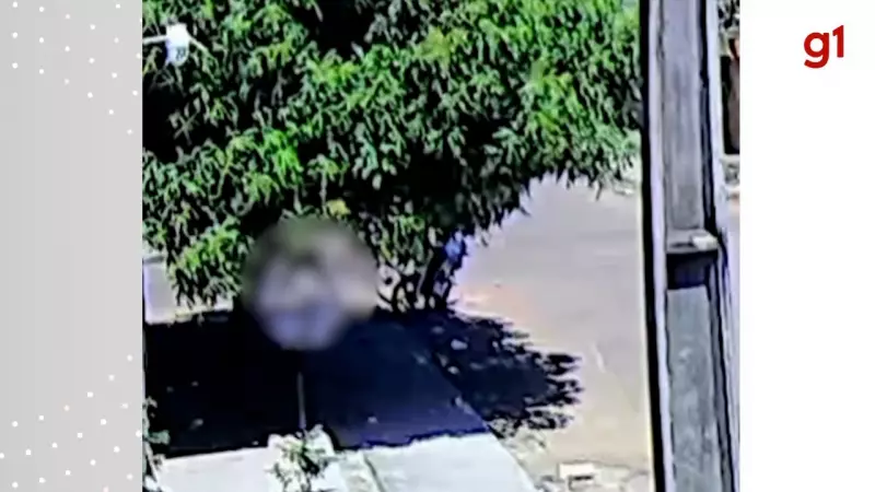 Vídeo chocante: Homem é espancado até a morte em Palmas; imagens fortes revelam brutalidade