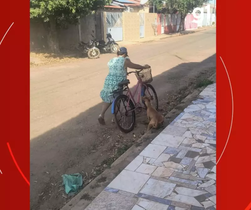 VÍDEO CHOCANTE: Mulher arrasta cachorro debilitado em via pública de MT — caso revolta nas redes