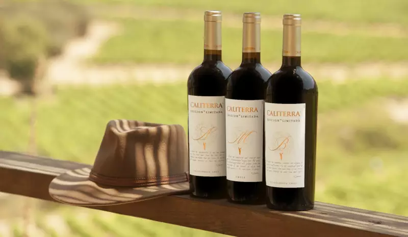 Vinhos Chilenos Caliterra Edição Limitada: Descubra os Sabores Exclusivos