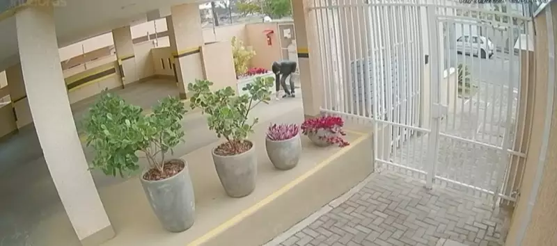 Vizinho encontra bilhetes de socorro em cativeiro no Paraná: 'Pensei que era lixo'