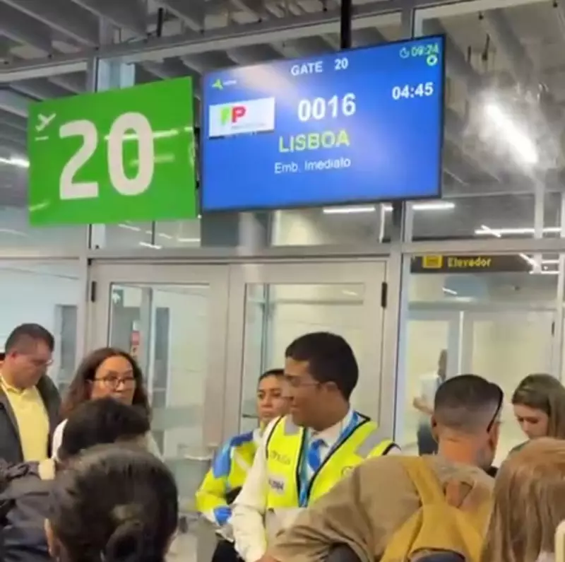 Voo Recife-Lisboa é cancelado após horas de espera: passageiros revoltados | G1 PE