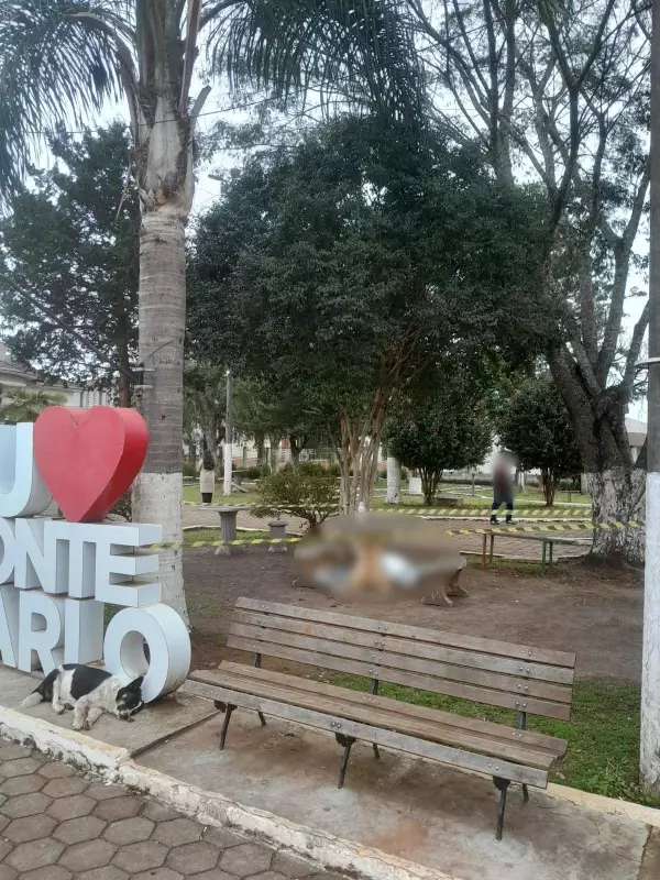 Adolescente é apreendido após esfaquear homem até a morte em praça de Santa Catarina