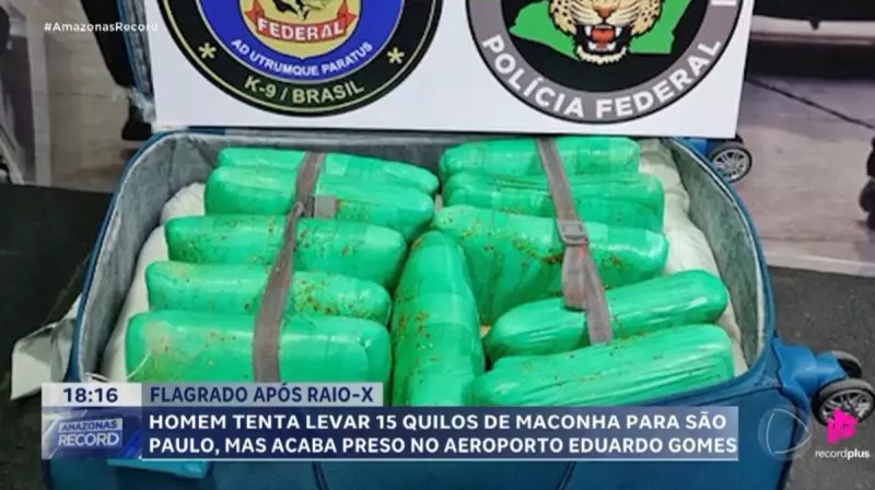 Aeroporto de Manaus: Homem preso com 15 kg de maconha escondidos em mala — detalhes da operação