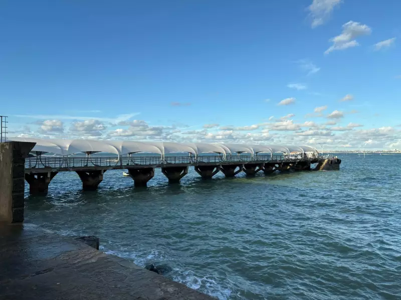 AGERBA Paraliza Terminal Marítimo de Vera Cruz: Entenda o Que Está Acontecendo
