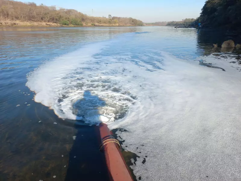 Água do Rio Grande em SP está contaminada com metais pesados: laudo aponta risco ambiental