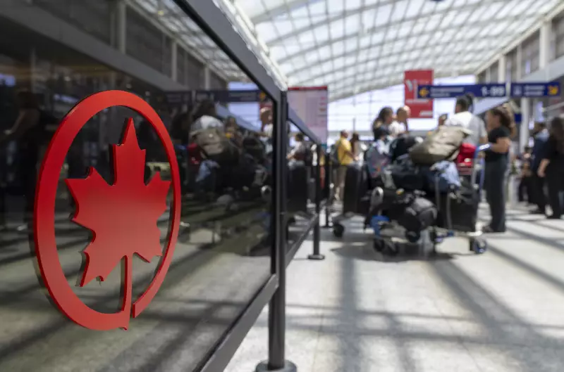 Air Canada retoma voos para o Brasil em 2025: confira as novas rotas e datas!